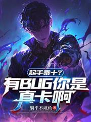 ���ֳ�ʮ����BUG�����濨��