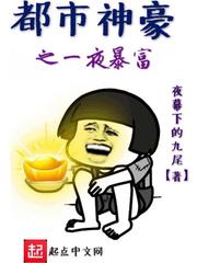 �������֮һҹ����